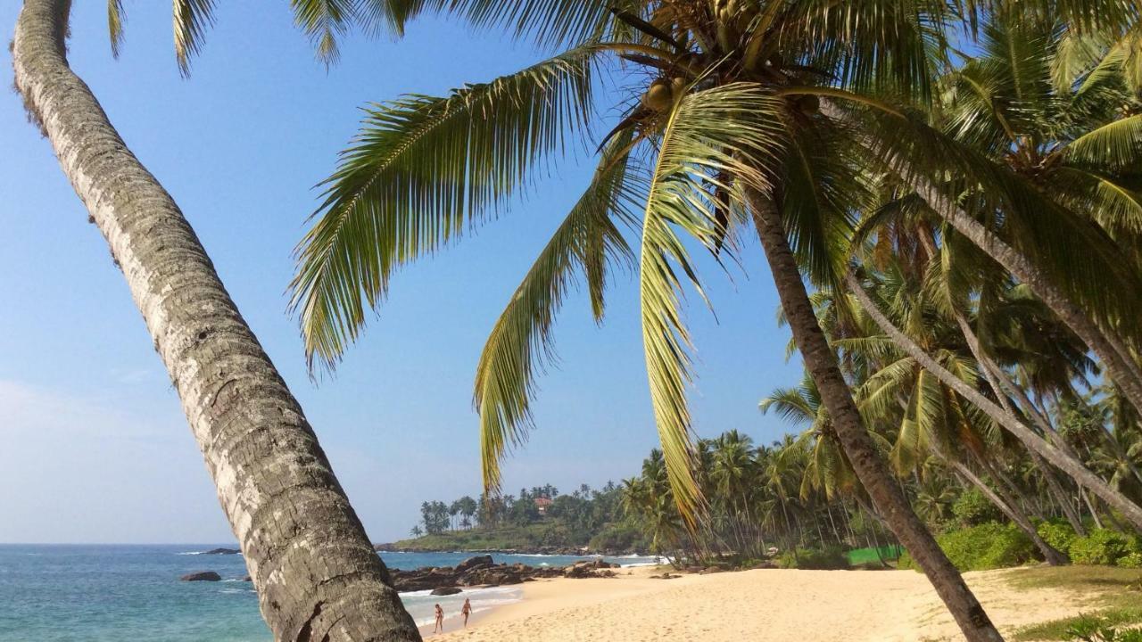 Green Garden Cabanas Тангалла Экстерьер фото