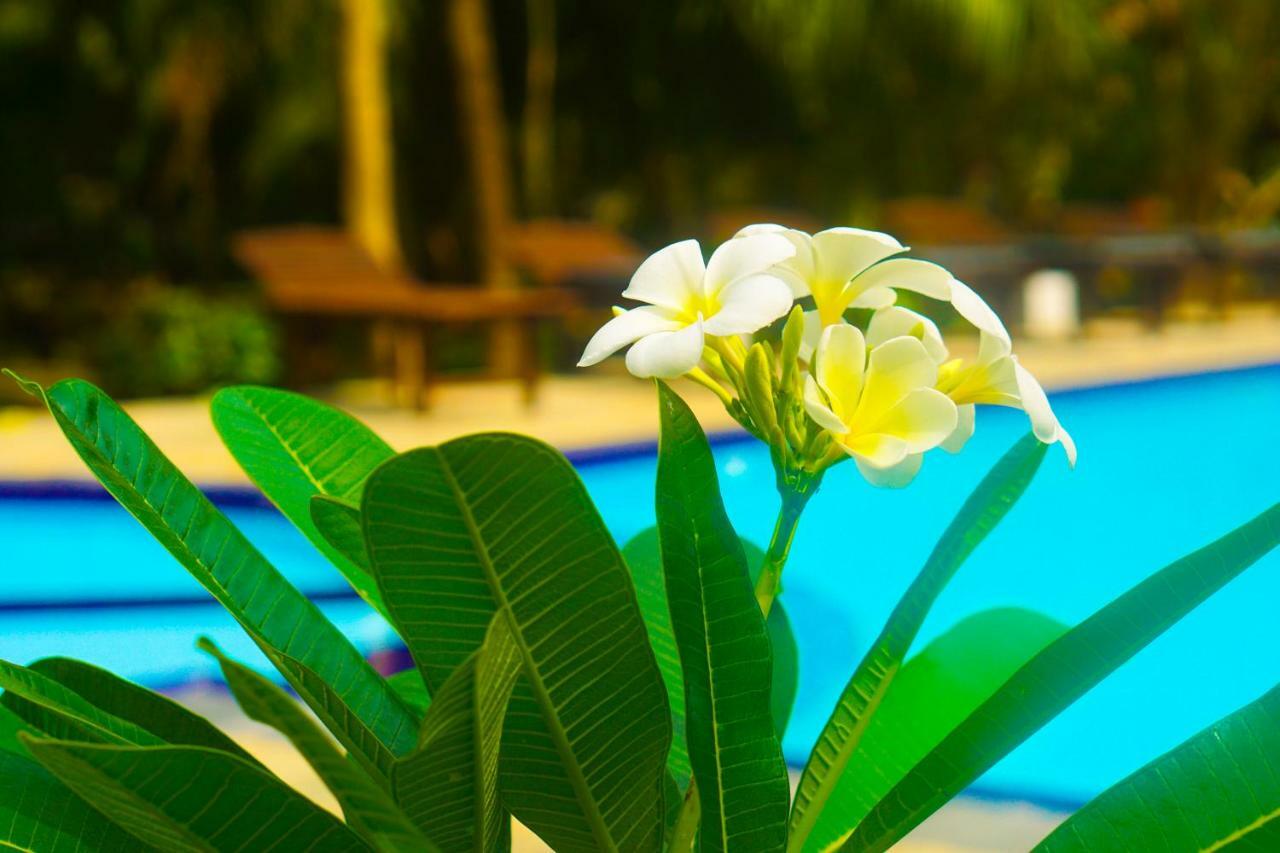 Green Garden Cabanas Тангалла Экстерьер фото